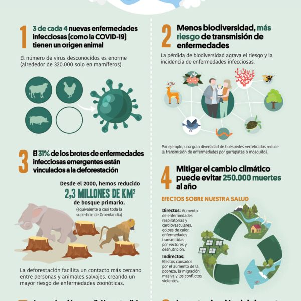 el-impacto-del-servicio-postal-en-el-medio-ambiente