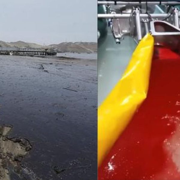 el-material-ecologico-de-recuperacion-de-derrames-de-petroleo-absorbe-150-veces-su-propio-peso