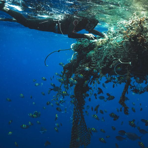 el-neuston-es-un-ecosistema-oceanico-flotante-y-nuestro-impulso-de-limpieza-de-plastico-podria-amenazarlo