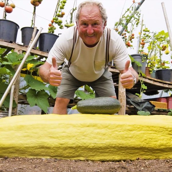 el-secreto-de-las-gigantescas-verduras-cultivadas-en-casa