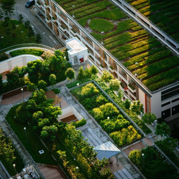 el-world-green-building-council-presenta-un-nuevo-compromiso-de-edificios-netos-con-cero-emisiones-de-carbono