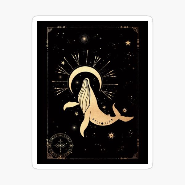 espiritu-de-ballena-animal-significado-y-simbolismo