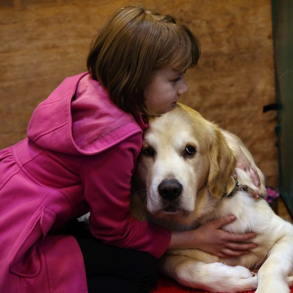 estres-lazo-inquietante-entre-humanos-y-animales