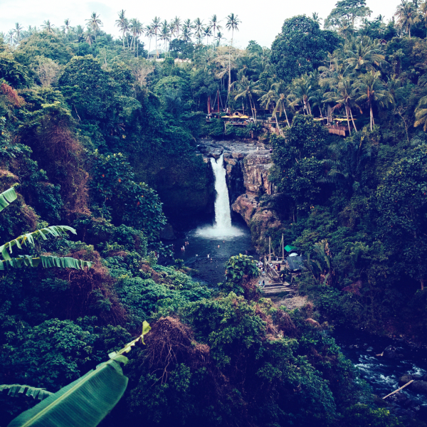 facebook-se-mueve-para-detener-la-venta-ilegal-de-la-selva-amazonica-en-marketplace