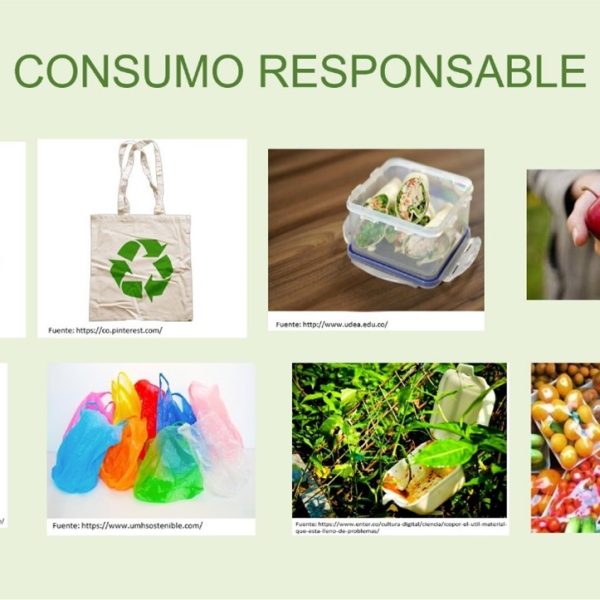 frenar-la-contaminacion-como-las-empresas-y-los-consumidores-pueden-reducir-sus-huellas-de-carbono