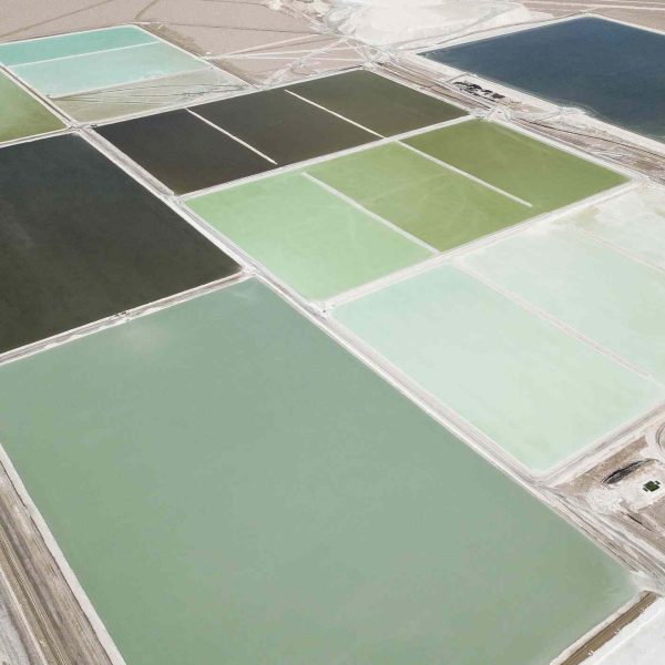 greenflation-es-el-termino-climatico-mas-reciente-en-nuestra-lista-de-observacion-de-jerga