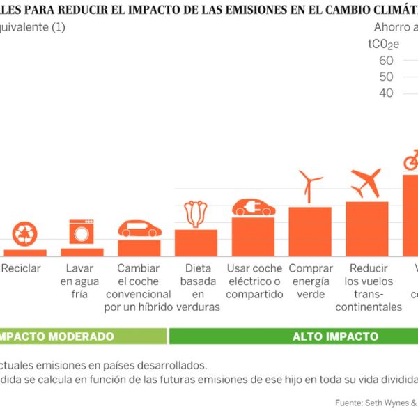 hacerse-vegetariano-es-una-forma-realista-de-reducir-las-emisiones-de-carbono