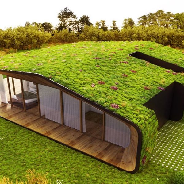 haciendo-tu-hogar-mas-ecologico