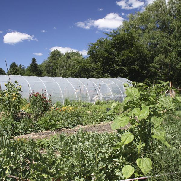 herramientas-y-equipos-esenciales-para-un-jardin-de-permacultura