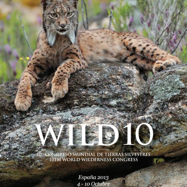 hombre-escoces-camina-por-canada-para-recaudar-dinero-para-rewilding