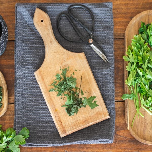 https-www-treehugger-com-how-to-dry-parsley-5200469