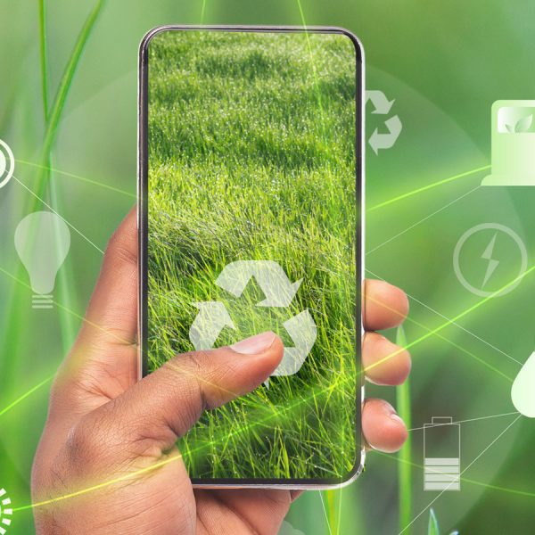 idea-facil-de-vida-ecologica-the-environmental-blog