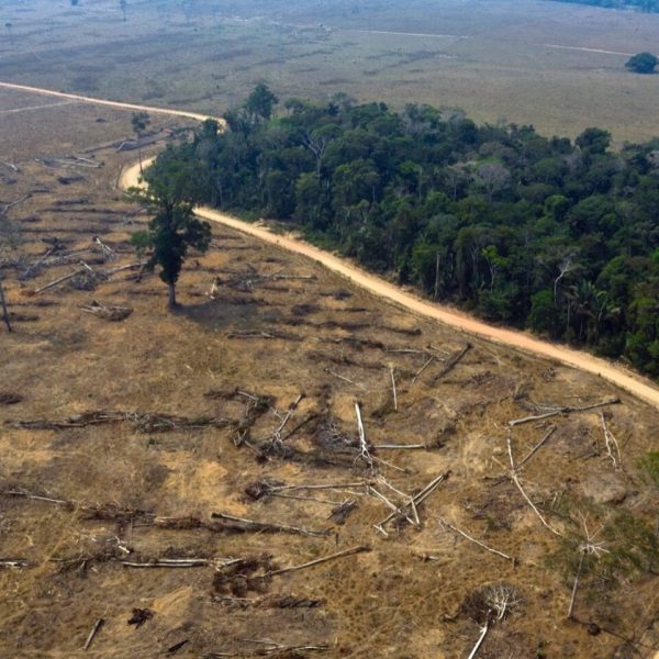 la-deforestacion-del-amazonas-danara-la-agricultura-brasilena