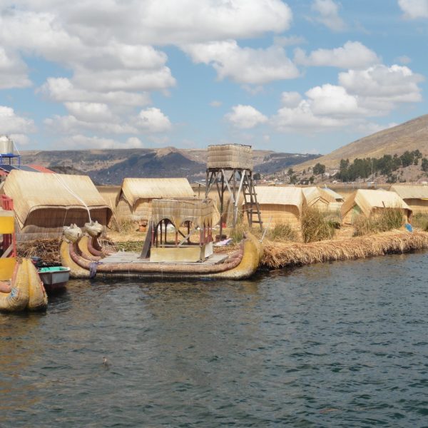 la-investigacion-sugiere-totora-como-material-aislante