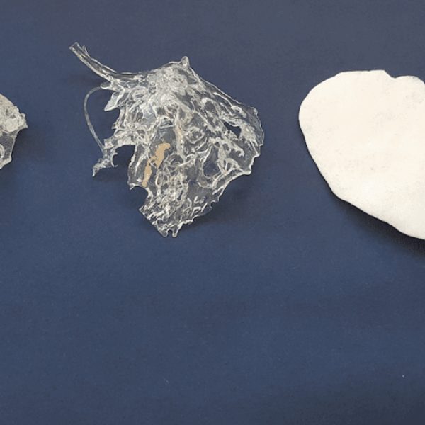 la-investigacion-tiene-como-objetivo-cambiar-el-guion-sobre-los-plasticos-de-un-solo-uso-en-hollywood
