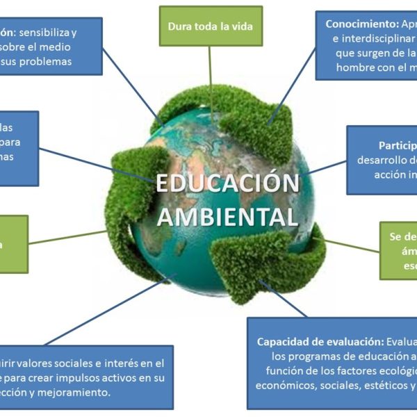 la-necesidad-de-construir-una-actitud-ambiental