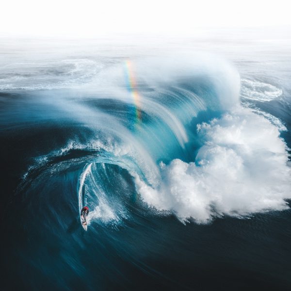 la-nieve-los-osos-y-las-olas-son-finalistas-en-los-photo-awards