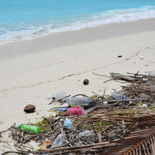 la-solucion-a-la-contaminacion-plastica-no-son-las-limpiezas-de-playas-son-las-empresas-las-que-asumen-la-responsabilidad