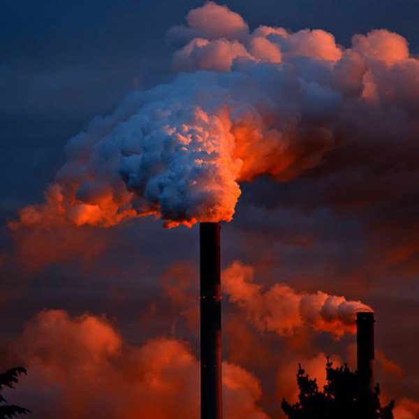 la-verdad-incomoda-sobre-el-calor-de-lena-por-que-debe-hacerse-de-manera-responsable