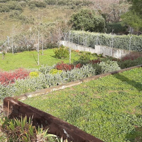 las-practicas-esenciales-de-la-jardineria-sostenible