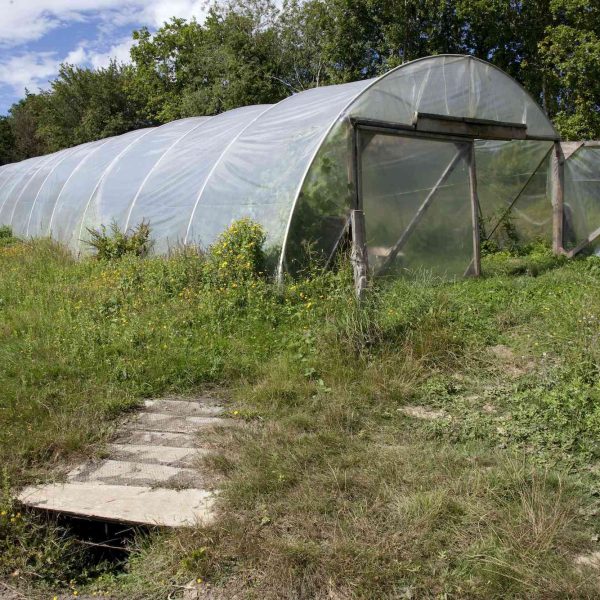 lecciones-que-he-aprendido-de-polytunnel-gardening