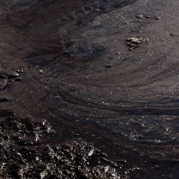 ley-de-contaminacion-por-petroleo-resumen-e-impacto