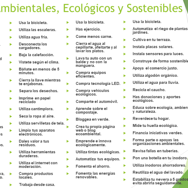 llevar-una-vida-mas-ecologica-a-traves-de-la-calefaccion-sostenible