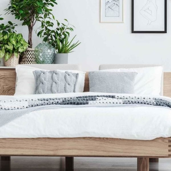 los-10-mejores-lugares-para-comprar-un-colchon-ecologico