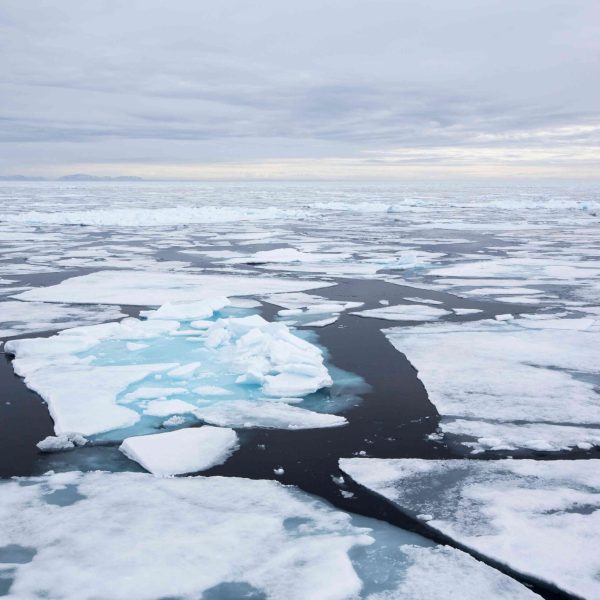 los-cientificos-vinculan-el-aumento-de-los-incendios-forestales-con-la-disminucion-del-hielo-marino-en-el-artico