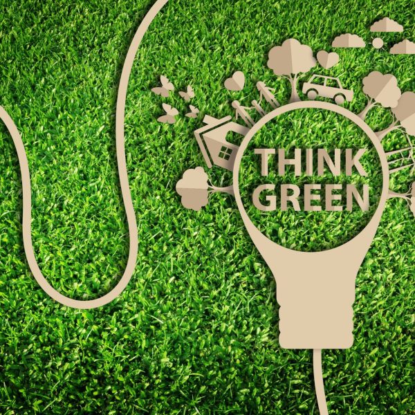 los-mejores-consejos-para-hacer-que-su-hogar-sea-mas-ecologico