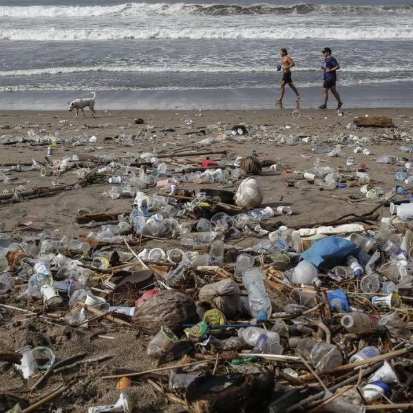 los-microbios-estan-evolucionando-para-comer-contaminacion-plastica-muestra-un-estudio