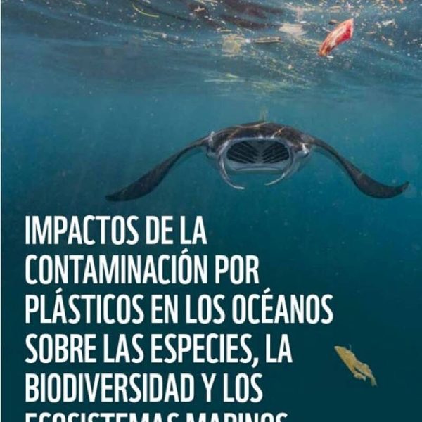 los-oceanos-iconicos-tambien-son-puntos-criticos-de-accidentes-maritimos