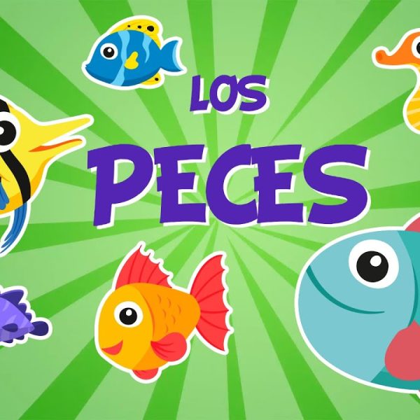 los-peces-se-camuflan-mejor-sin-sus-amigos-alrededor