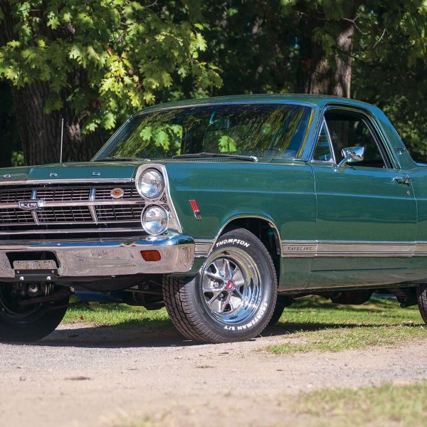 mike-mcnessor-treehugger