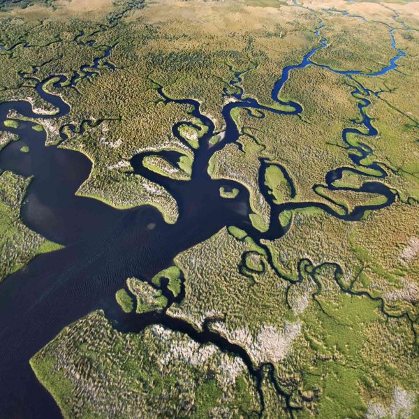 parque-nacional-everglades-uno-de-los-ecosistemas-mas-resistentes-de-la-tierra