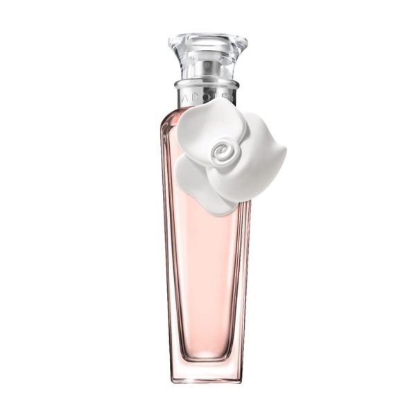 perfume-diy-con-flores-frescas