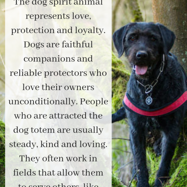 perro-spirit-animal-spirit-animal-info