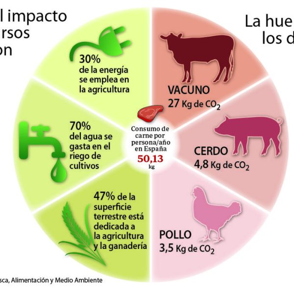 por-que-el-consumo-de-carne-no-es-sostenible