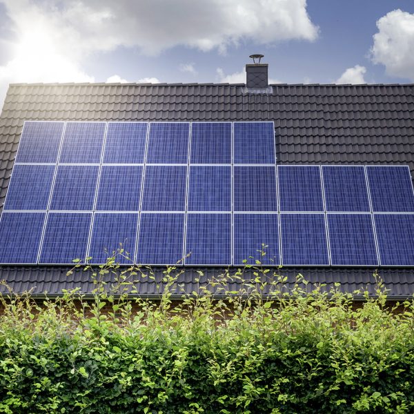 por-que-esta-en-auge-el-negocio-de-las-energias-renovables