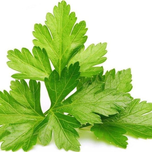 por-que-odiar-el-cilantro-y-otros-sabores-puede-ser-genetico