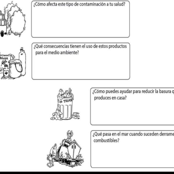 puede-access-matting-ayudar-al-medio-ambiente