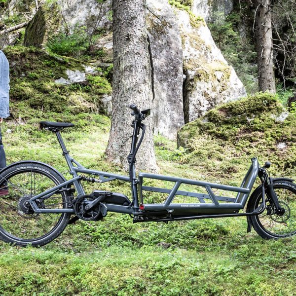 puede-una-e-cargo-bike-funcionar-como-su-unica-bicicleta