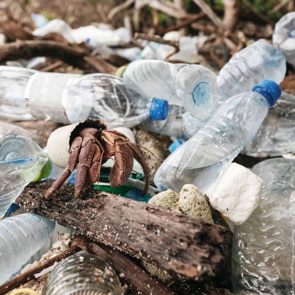 que-es-bpa-definicion-e-impacto-ambiental