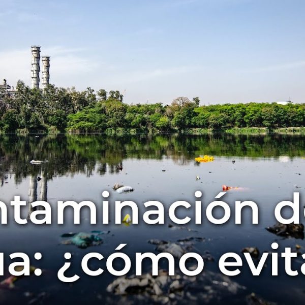 que-es-la-contaminacion-del-agua-fuentes-impactos-ambientales-mitigacion