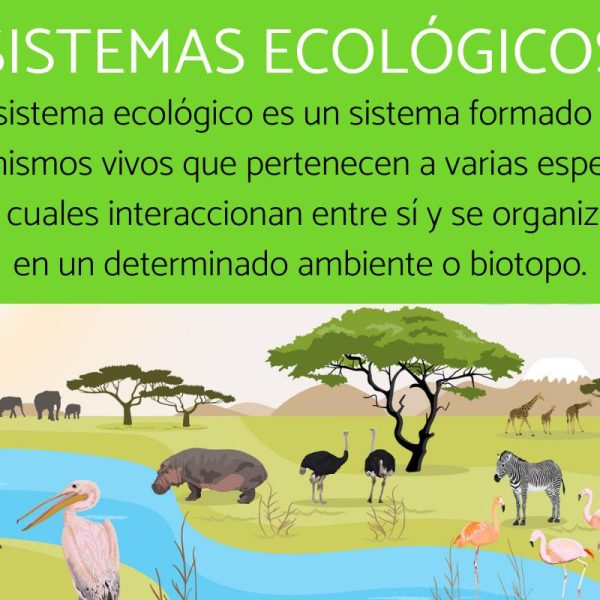 que-significa-ecologico-significado-ecologico