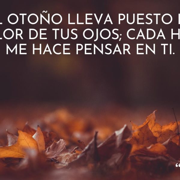 reflexiones-sobre-una-deliciosa-temporada-de-verano-csa