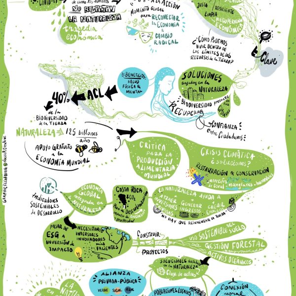 resenas-de-recursos-soluciones-basadas-en-la-naturaleza-para-inundaciones