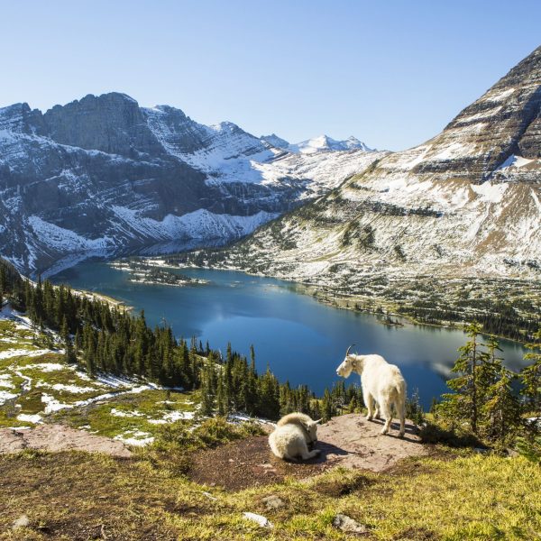 scenic-view-of-glacier-national-park-527961003-9cec54eccf7640159b410bb21ec7822a.jpg