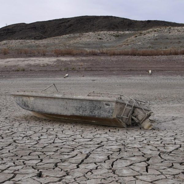 sequia-the-environmental-blog