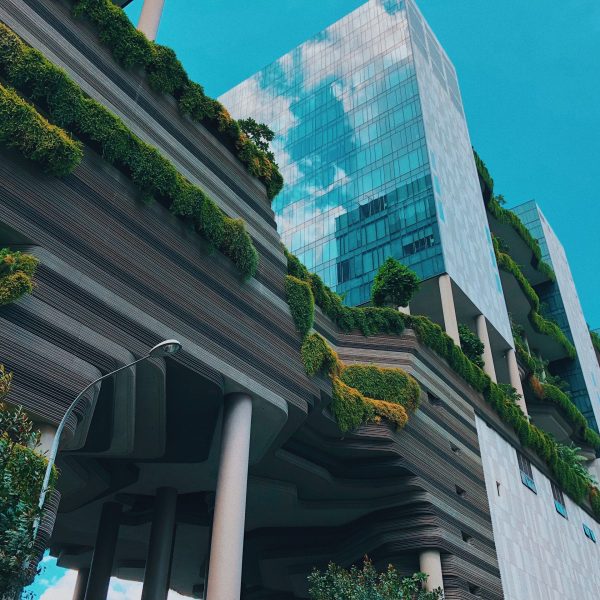 som-propone-un-rascacielos-urban-sequoia-que-consume-carbono-en-la-cop26